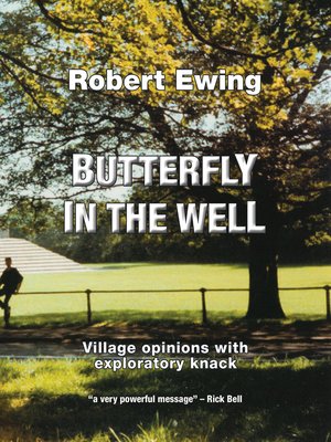 cover image of Butterfly in the Well